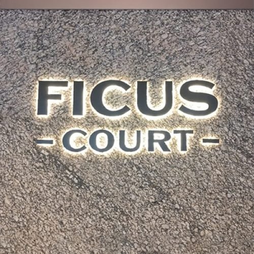 ficus court
